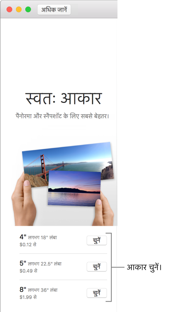स्वत:-आकार प्रिंट प्रारूप के लिए आकार विकल्प दर्शाती हुई विंडो।