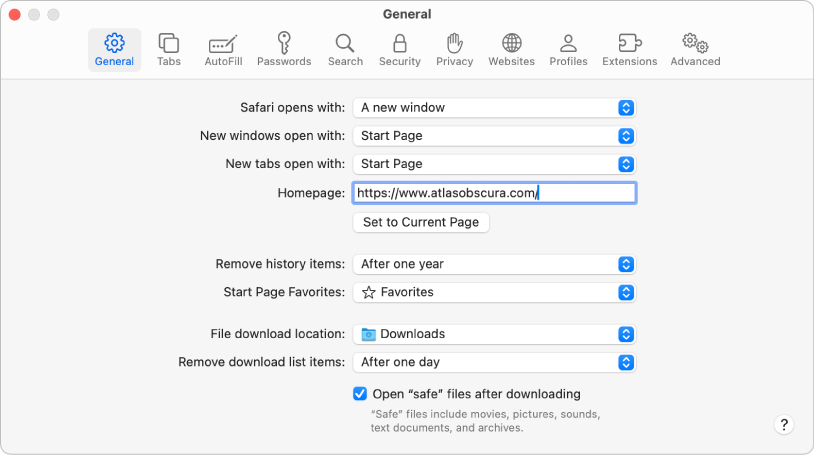Die allgemeinen Einstellungen für Safari-Webseiten mit der aktuellen Webseite, die als Startseite ausgewählt ist.