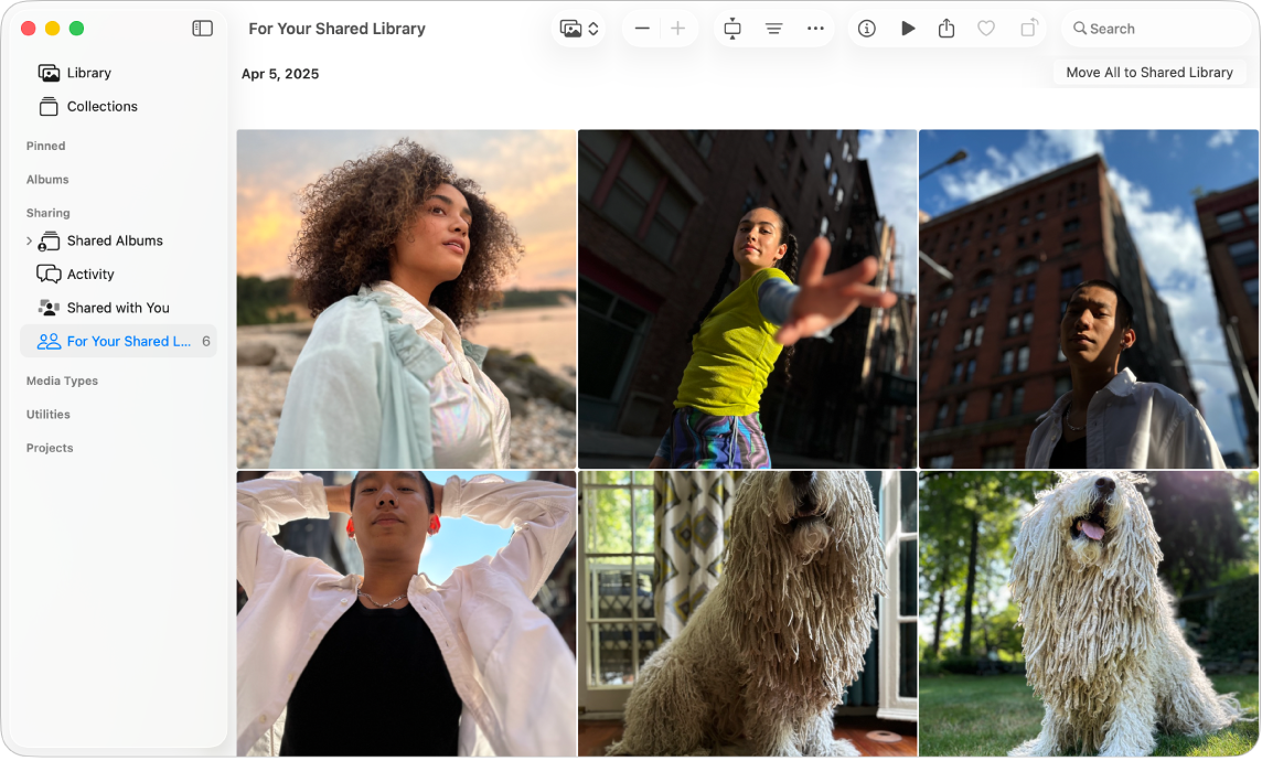 Das Fenster „Fotos“ mit dem in der Seitenleiste ausgewählten Bereich „Für die geteilte Mediathek“; rechts befinden sich vorgeschlagene Fotos, die zur geteilten Mediathek hinzugefügt werden können.