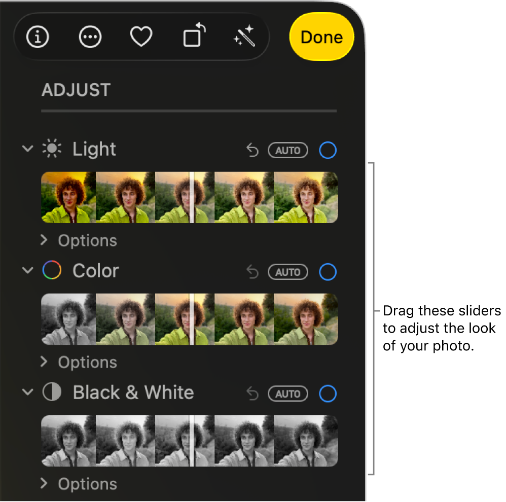 The Light, Color, and Black & White sliders in the Adjust pane. An Auto button appears above each slider.