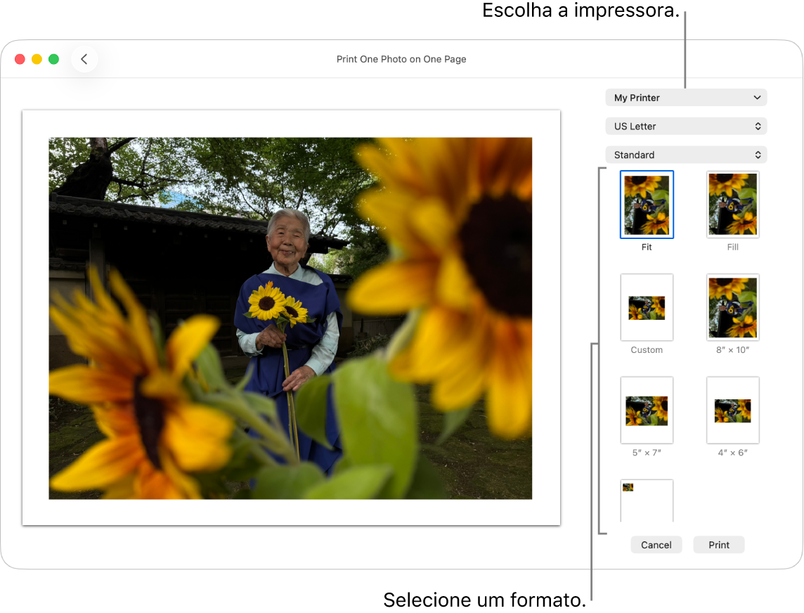 Uma janela para selecionar opções de impressão, com uma área de pré-visualização da impressão à esquerda e opções de impressão à direita.