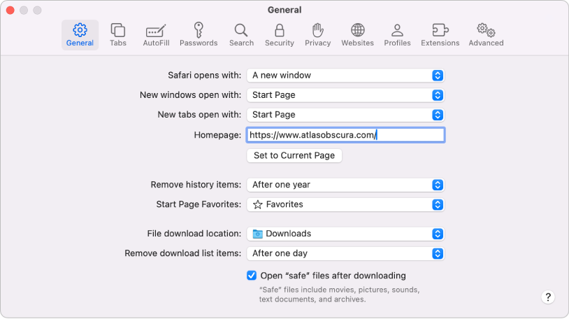 General settings for Safari web pages, with the current web page selected as the Homepage.