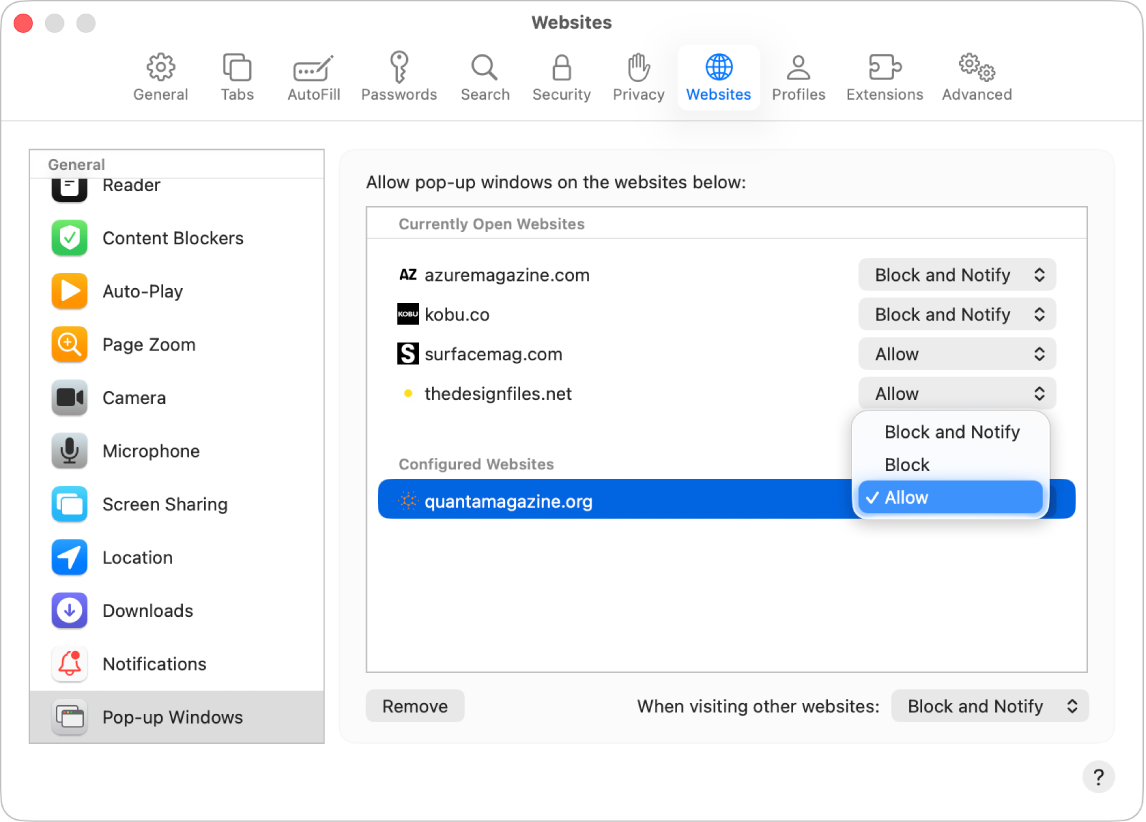 L’opzione “Finestre a comparsa“ per le impostazioni di Safari, con “Consenti selezionati” per un sito web configurato.