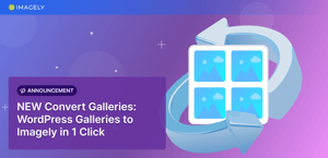 NEW Convert Galleries: WordPress Galleries to Imagely in 1 Click