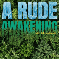 A Rude Awakening A Rude Awakening