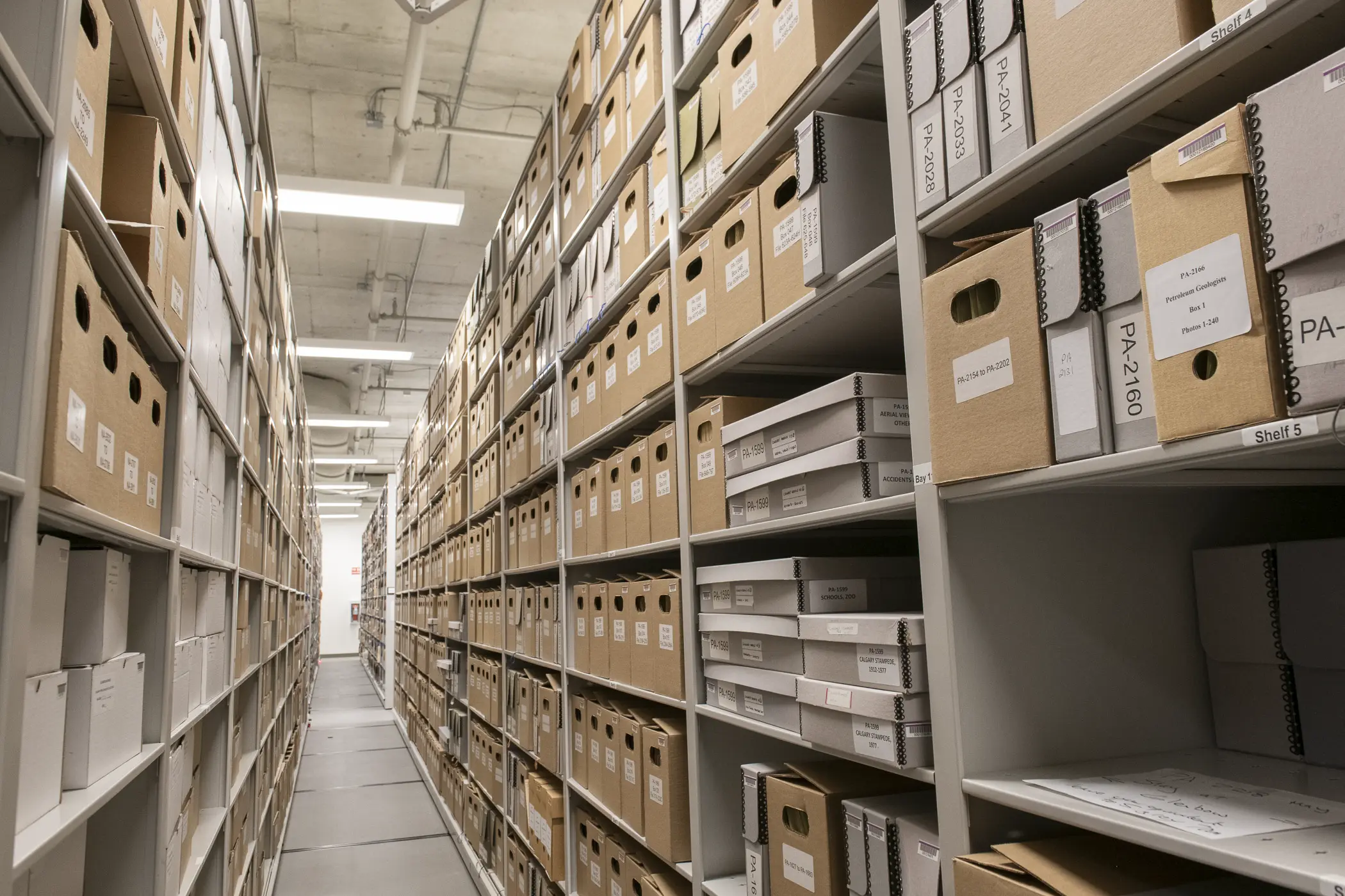 Photo of The University Archives