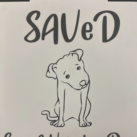 savedrescue's avatar