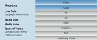 QuickTime File Format