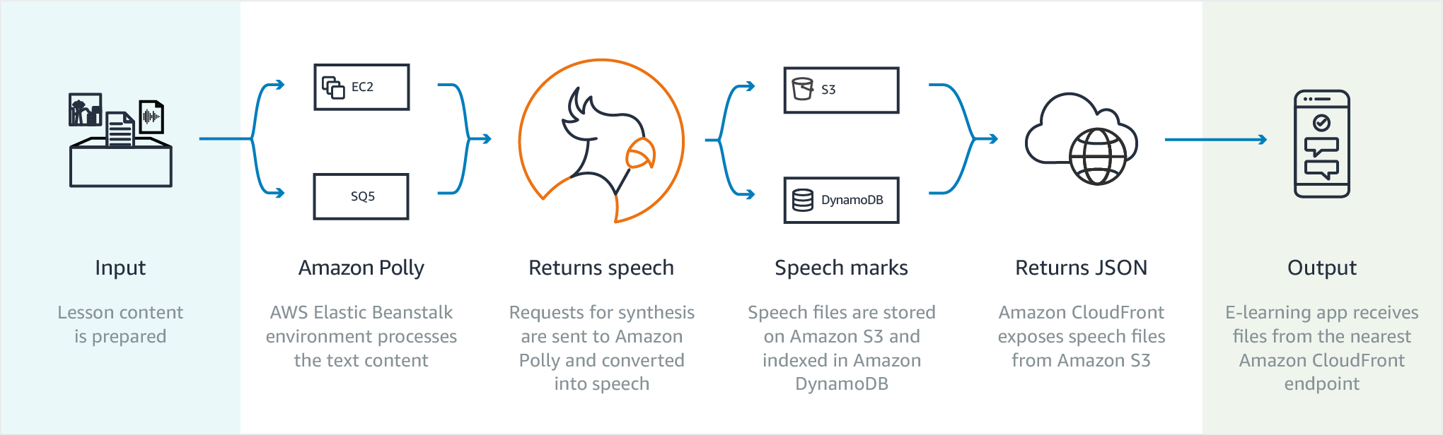 Polly-4-Language-Learning@2x