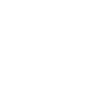 AWS Shield