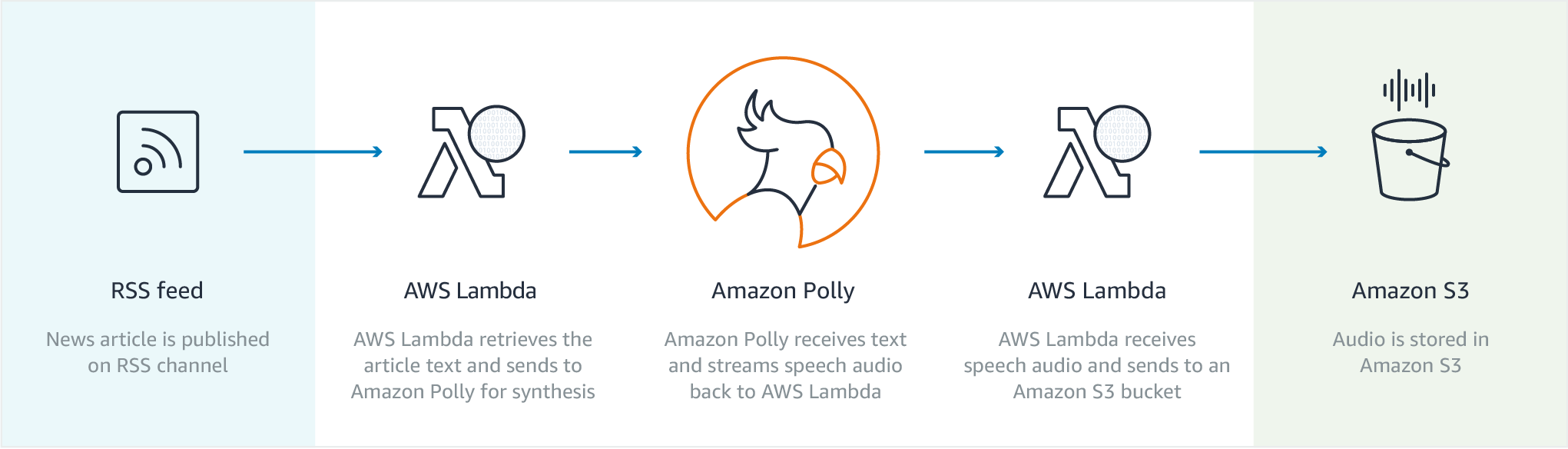 Polly-1-Content_Creation@2x
