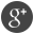 social-media-icons-google-plus social-media-icons-google-plus