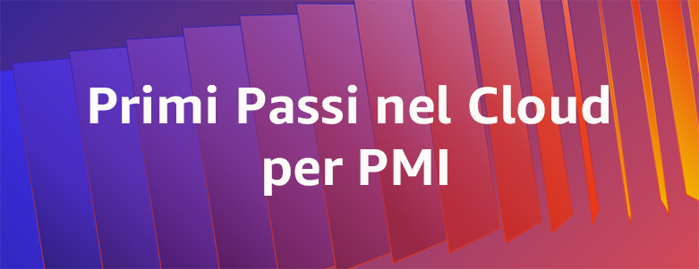 pmi-smb