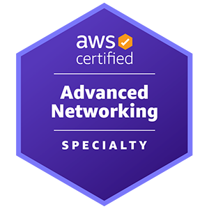 AWS Certified Advanced Networking – Specialty AWS Certified Advanced Networking – Specialty 徽章