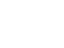 Vector