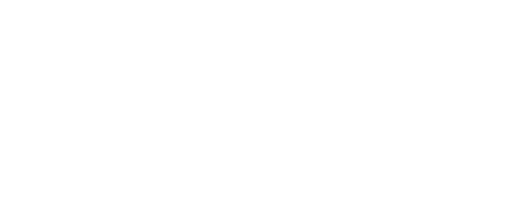 Center for Digital Government