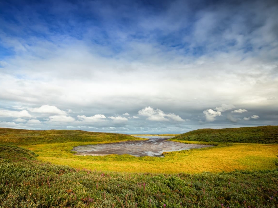 Izembek National Wildlife Refuge